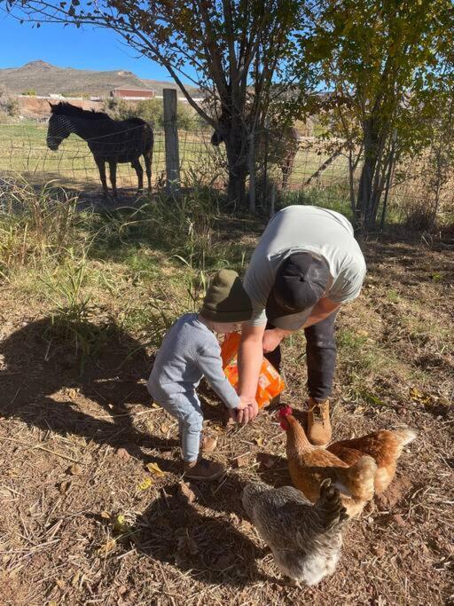 Copper Creek Farm Villa Toquerville Ngoại thất bức ảnh
